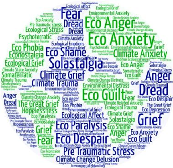 Different words relating to eco-anxiety shaped according to the world map