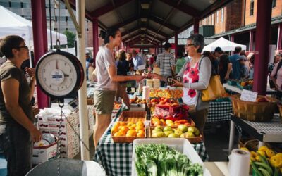 How to shop ‘green’: A beginner’s guide