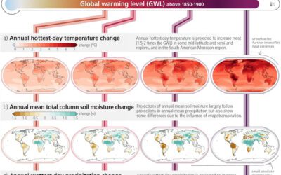 How did experts review the IPCC’s AR6 Synthesis Report?