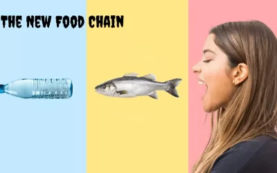 Plastic on Our Plates: How Colonial Food Systems Fuel Pollution and Injustice